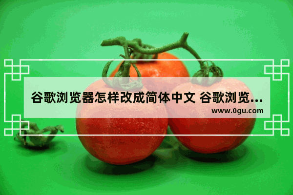 谷歌浏览器怎样改成简体中文 谷歌浏览器将语言设置成简体中文的方法