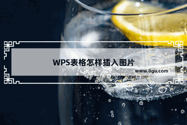 WPS表格怎样插入图片