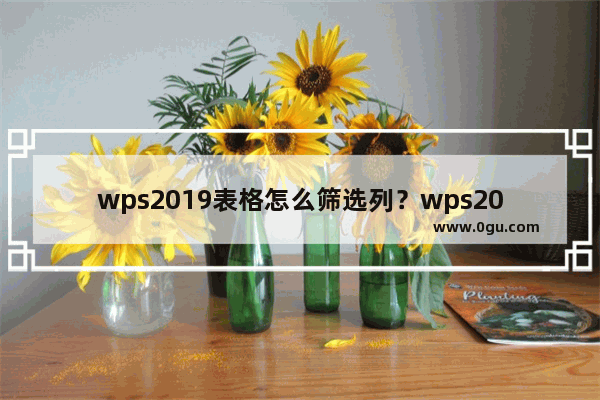 wps2019表格怎么筛选列？wps2019表格筛选列方法