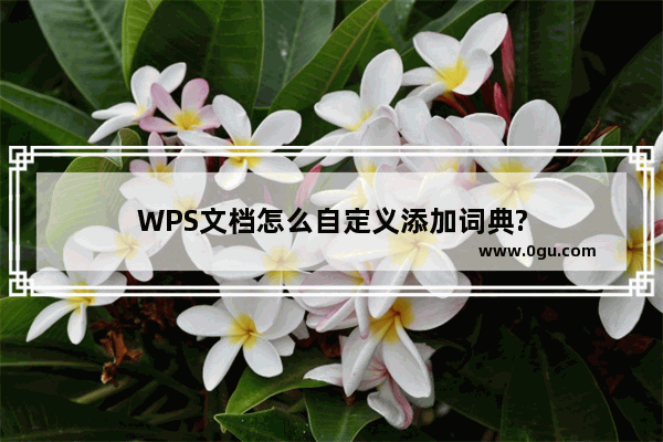 WPS文档怎么自定义添加词典?