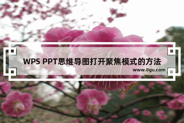 WPS PPT思维导图打开聚焦模式的方法