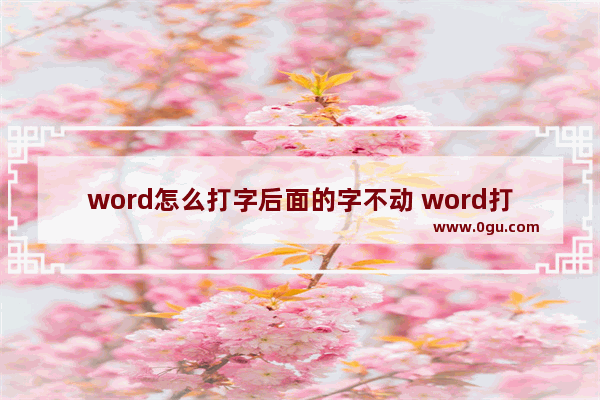 word怎么打字后面的字不动 word打字后面的字就没