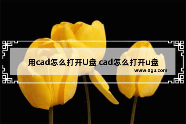 用cad怎么打开U盘 cad怎么打开u盘图纸