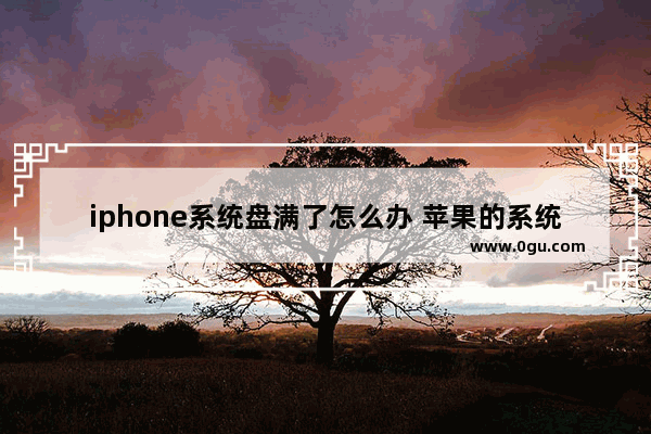 iphone系统盘满了怎么办 苹果的系统占了很多内存怎么办