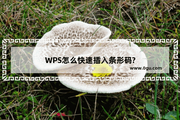 WPS怎么快速插入条形码?