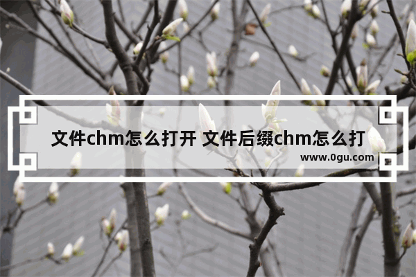 文件chm怎么打开 文件后缀chm怎么打开