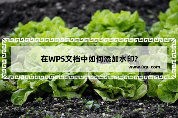 在WPS文档中如何添加水印?