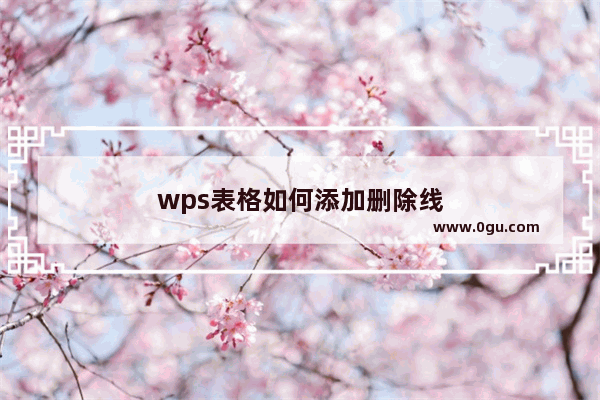 wps表格如何添加删除线