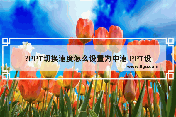 ?PPT切换速度怎么设置为中速 PPT设置动画为中速的方法教程