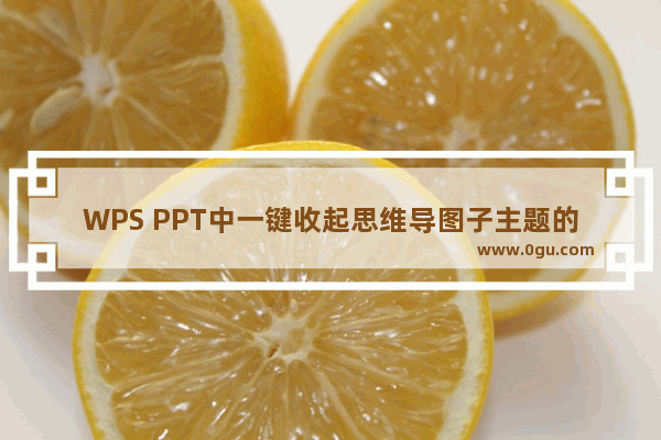 WPS PPT中一键收起思维导图子主题的方法