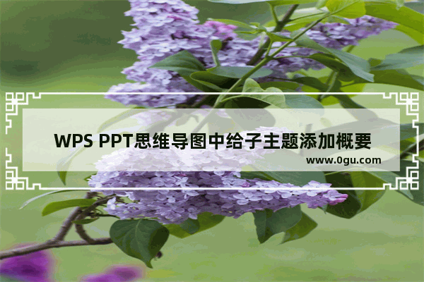 WPS PPT思维导图中给子主题添加概要的方法