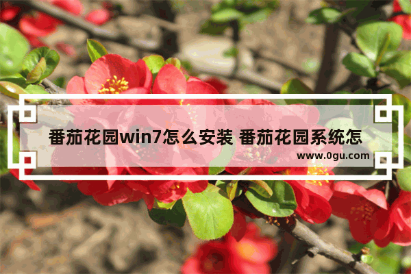 番茄花园win7怎么安装 番茄花园系统怎么样