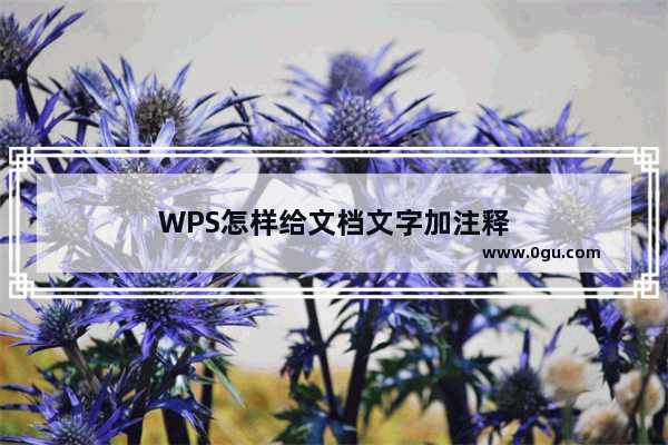 WPS怎样给文档文字加注释