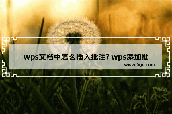 wps文档中怎么插入批注? wps添加批注的详细教程