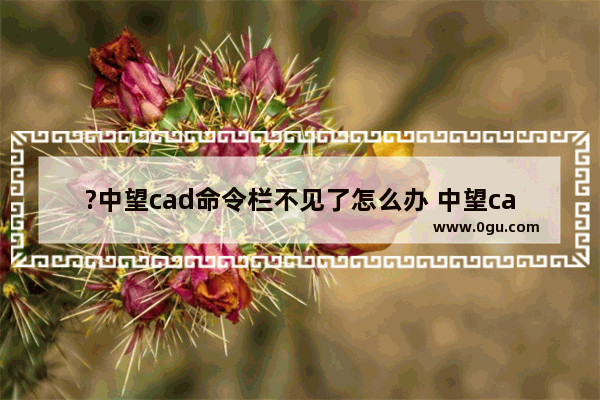 ?中望cad命令栏不见了怎么办 中望cad显示命令栏的方法