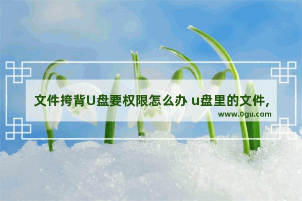 文件挎背U盘要权限怎么办 u盘里的文件,被限制复制粘贴怎么办?