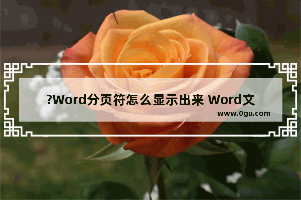 ?Word分页符怎么显示出来 Word文档显示分页符的方法教程