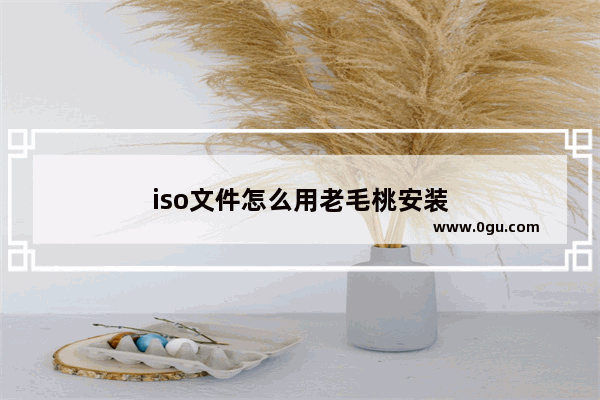 iso文件怎么用老毛桃安装