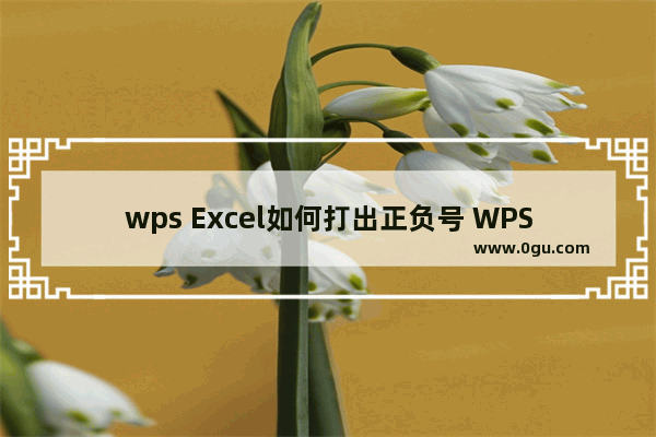 wps Excel如何打出正负号 WPS Exce插入正负号符号的方法