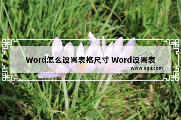 Word怎么设置表格尺寸 Word设置表格尺寸的方法