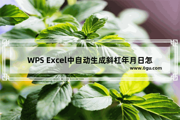 WPS Excel中自动生成斜杠年月日怎么办 WPS Excel中把斜杠日期更改为年月日的方法