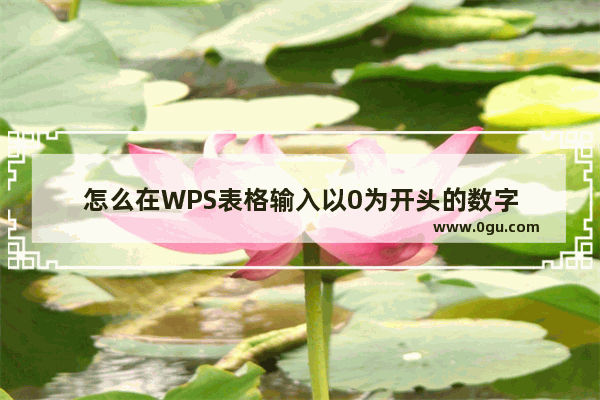 怎么在WPS表格输入以0为开头的数字