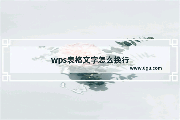 wps表格文字怎么换行