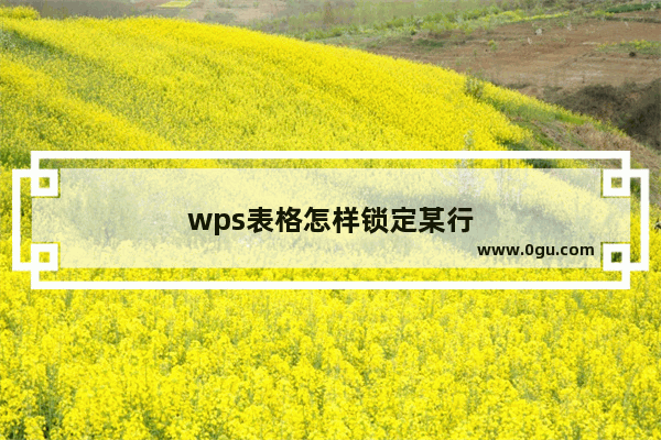 wps表格怎样锁定某行