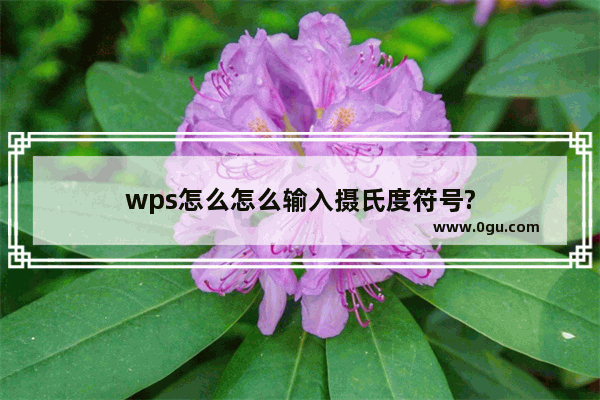 wps怎么怎么输入摄氏度符号?