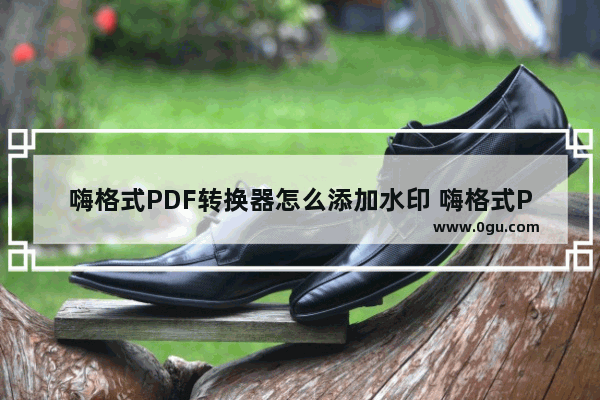 嗨格式PDF转换器怎么添加水印 嗨格式PDF转换器给PDF文件添加水印的方法