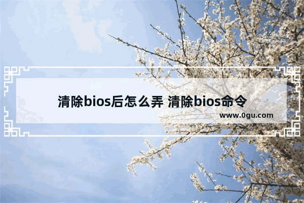 清除bios后怎么弄 清除bios命令