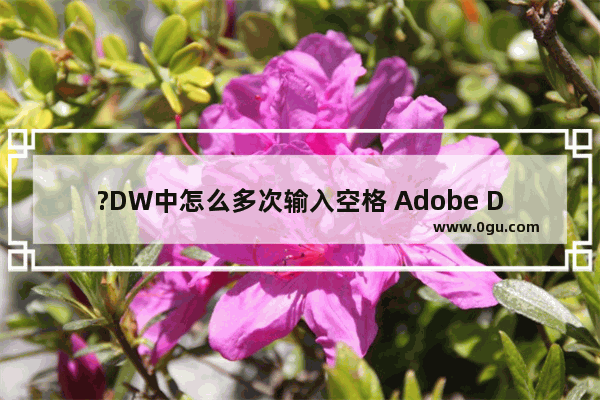 ?DW中怎么多次输入空格 Adobe Dreamweaver中打空格代码的方法教程