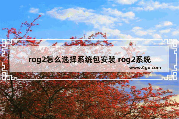 rog2怎么选择系统包安装 rog2系统怎么样