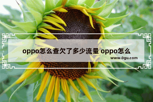 oppo怎么查欠了多少流量 oppo怎么查欠了多少流量呢