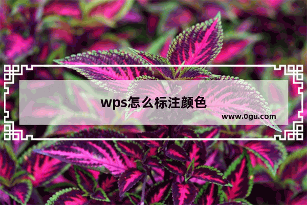 wps怎么标注颜色