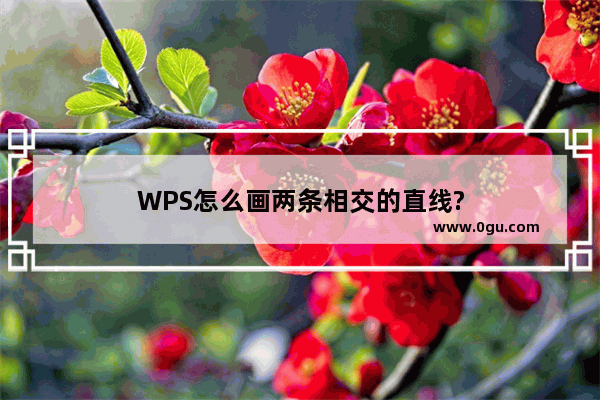 WPS怎么画两条相交的直线?