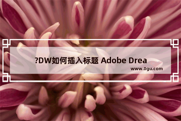 ?DW如何插入标题 Adobe Dreamweaver中插入标题的方法教程