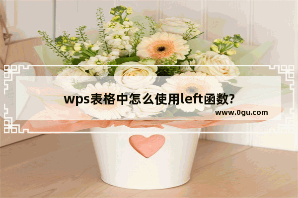 wps表格中怎么使用left函数?