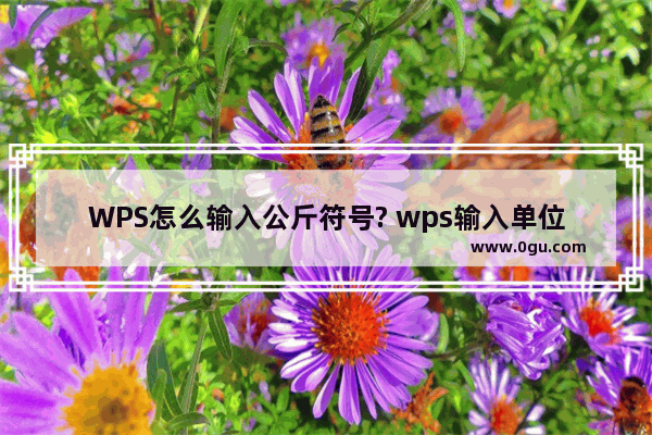 WPS怎么输入公斤符号? wps输入单位重量kg的教程