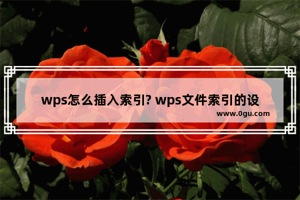 wps怎么插入索引? wps文件索引的设置方法