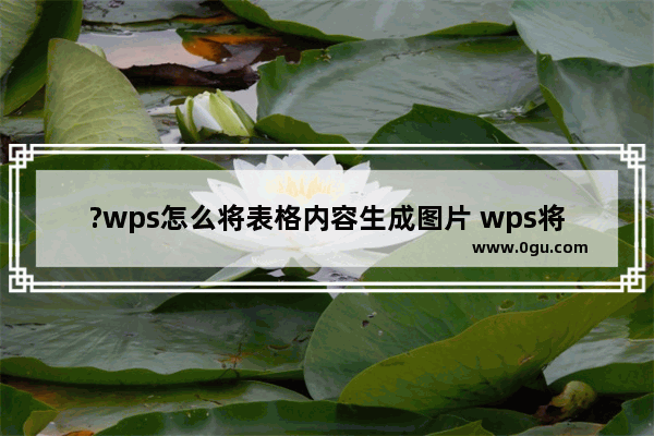 ?wps怎么将表格内容生成图片 wps将表格转换为图片的方法