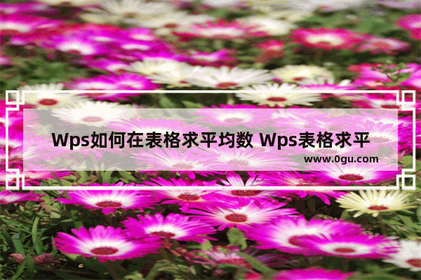 Wps如何在表格求平均数 Wps表格求平均数的方法