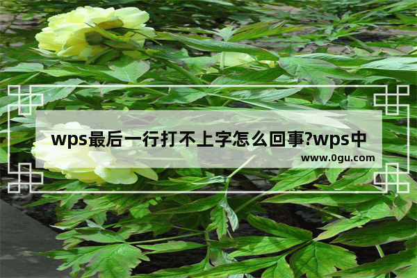 wps最后一行打不上字怎么回事?wps中最后一行打不上字解决方法