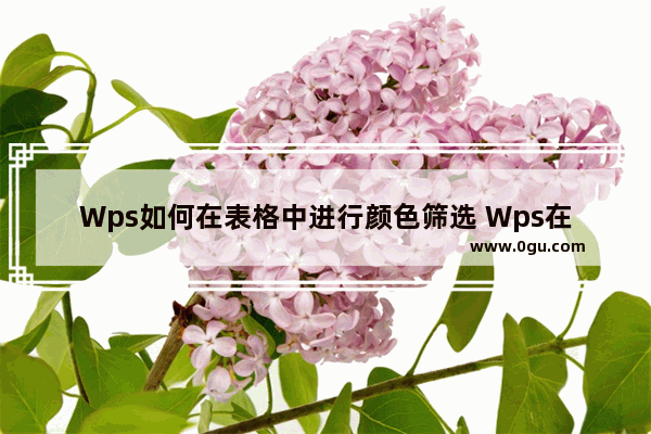 Wps如何在表格中进行颜色筛选 Wps在表格中进行颜色筛选的方法