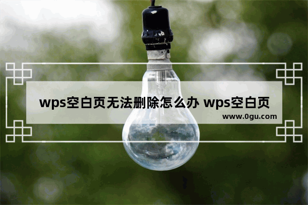 wps空白页无法删除怎么办 wps空白页怎么删除