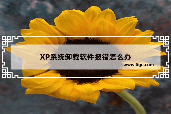 XP系统卸载软件报错怎么办