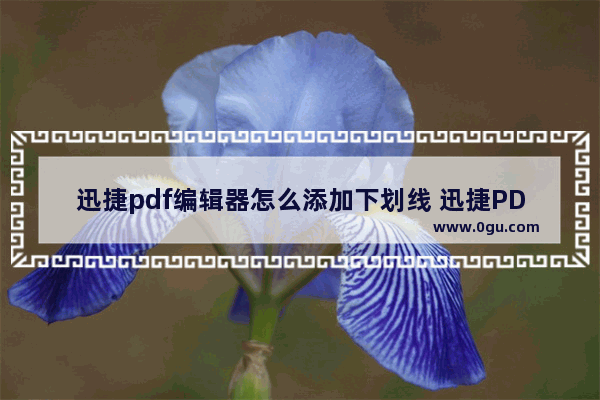 迅捷pdf编辑器怎么添加下划线 迅捷PDF编辑器给PDF文件添加下划线的方法