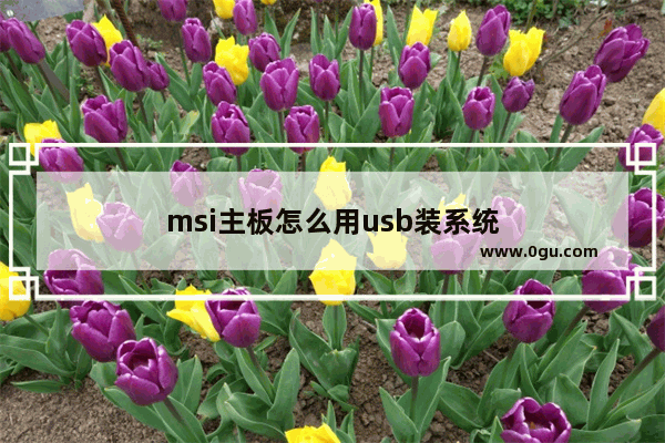 msi主板怎么用usb装系统