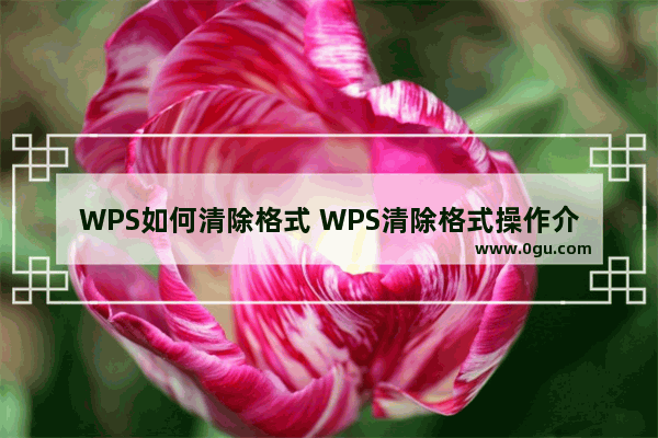 WPS如何清除格式 WPS清除格式操作介绍