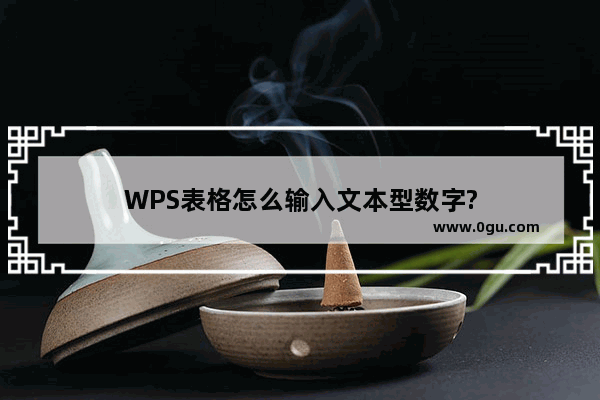 WPS表格怎么输入文本型数字?